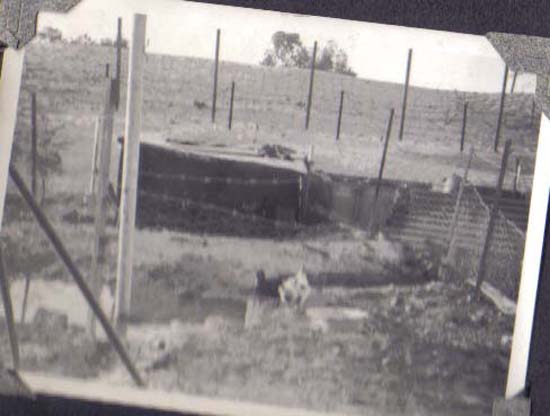 ph120