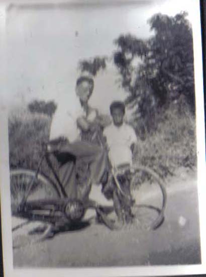 ph131