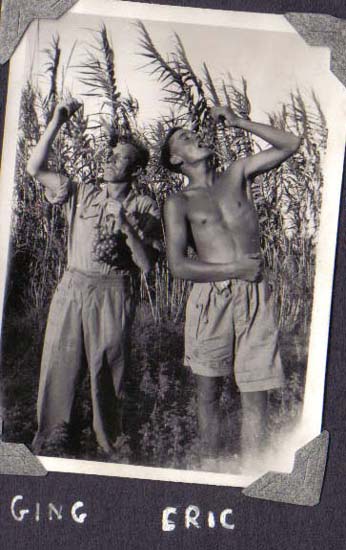 ph150