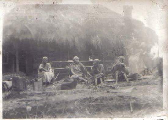 ph36