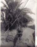 ph128